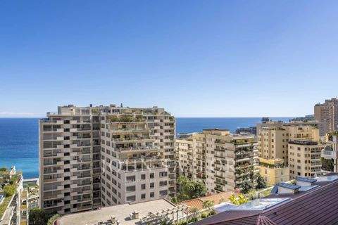 Monaco Wohnungen, Monaco Wohnung kaufen