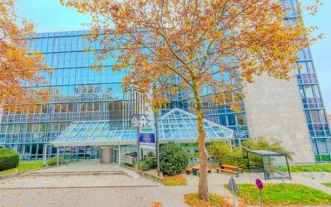 Mannheim / Schwetzingerstadt Oststadt Büros, Büroräume, Büroflächen 
