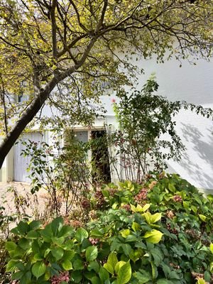 Eingang Wohnhaus.jpeg