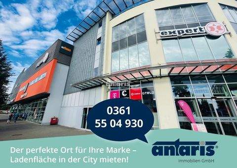 Erfurt Halle, Erfurt Hallenfläche