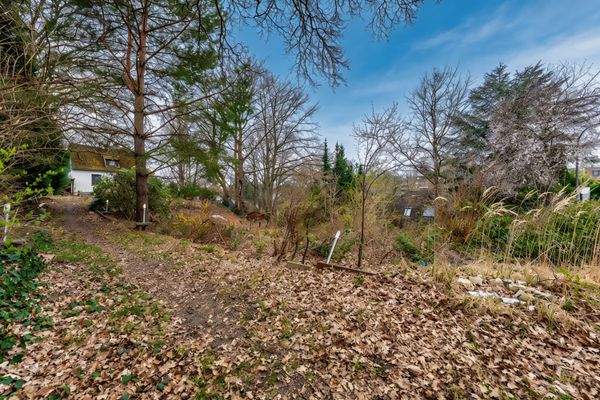 DI - Forbes Global Properties