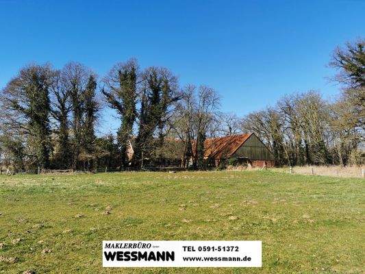 Weide / Hofstelle / Südostansicht