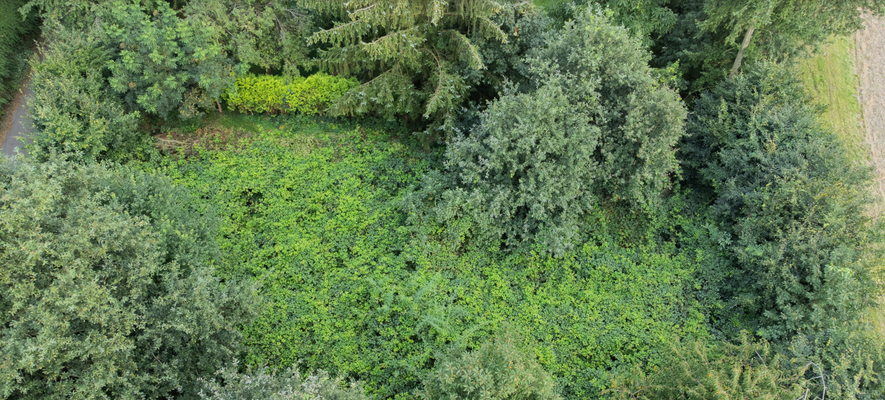 Screenshot at Oct 05 14-43-29