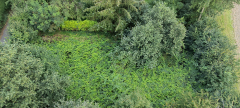 Goch Grundstücke, Goch Grundstück kaufen