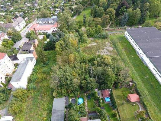 Luftbild vor Rodungsarbeiten