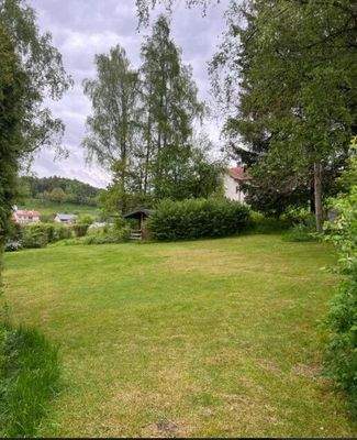 Baugrundfoto mit Baumbestand