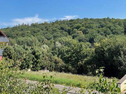 Blick vom Grundstück
