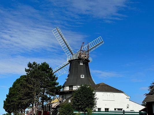 Mühle Carolinensiel.jpg