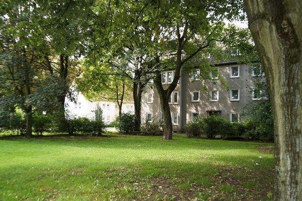 Große Grünflächen