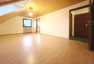 großzügiges Wohnzimmer, Blick 2