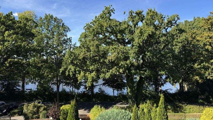 Blick von der Dachterrasse