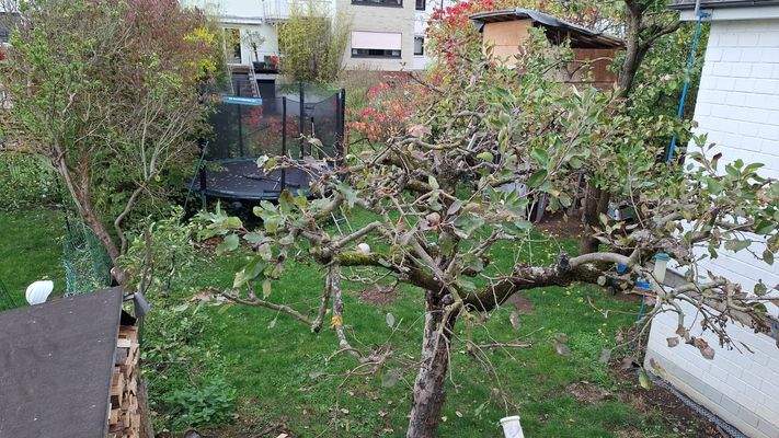 WhatsApp Bild 2025-10-21 um 12.50.33_eaba9f7d.jpg