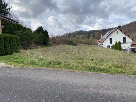 Ulmet Häuser, Ulmet Haus kaufen