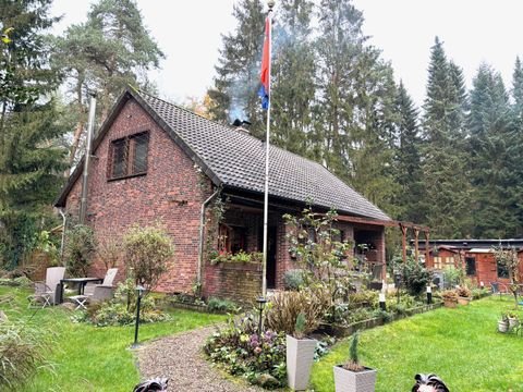 Hatten Häuser, Hatten Haus kaufen