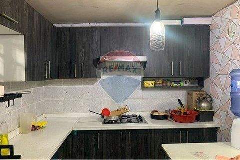 Paine Häuser, Paine Haus kaufen