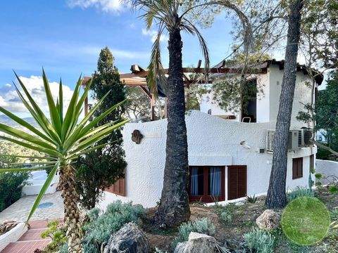 Sant Antonio Häuser, Sant Antonio Haus mieten 