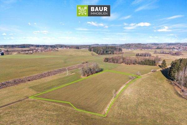 Luftbild5 Grundstück Riedwiesen_bearb_web