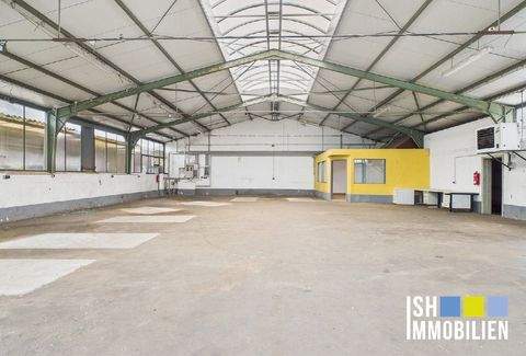 Stade Halle, Stade Hallenfläche