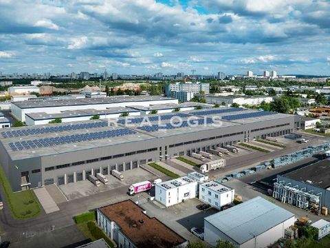 Berlin Halle, Berlin Hallenfläche