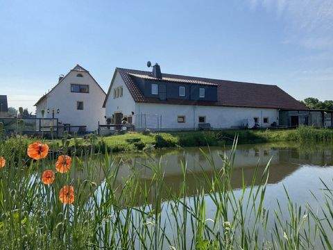 Liebschützberg Bauernhöfe, Landwirtschaft, Liebschützberg Forstwirtschaft