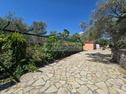 img_7fa72c09-f0f1-457c-a75b-9c397a6987cc