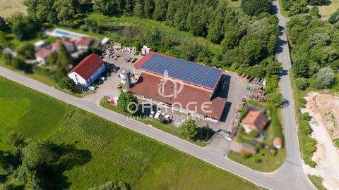 Berching Halle, Berching Hallenfläche