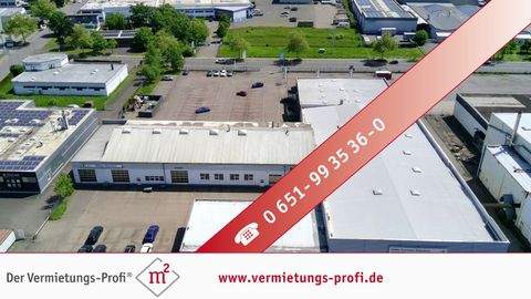 Trier / Euren Büros, Büroräume, Büroflächen 