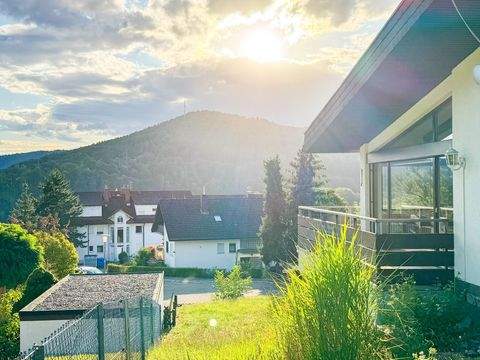 Freudenberg Häuser, Freudenberg Haus kaufen
