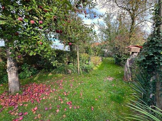 23 garten-doppelhaushaelfte-hilkerode-rkm-immobilienkontor.jpg