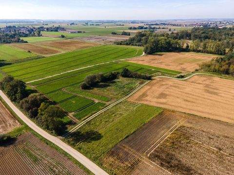 Dengling Bauernhöfe, Landwirtschaft, Dengling Forstwirtschaft