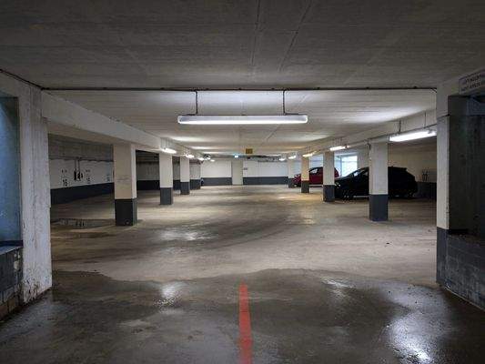 PXL_20240711_075320578