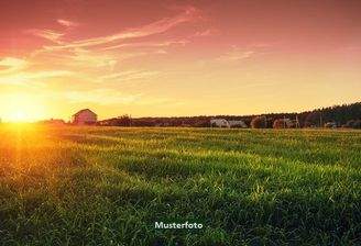 Keine Originalbilder