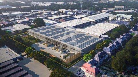 Düsseldorf Halle, Düsseldorf Hallenfläche