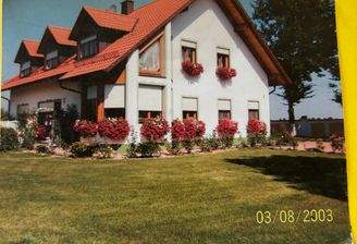 IMG_3835.jpeg