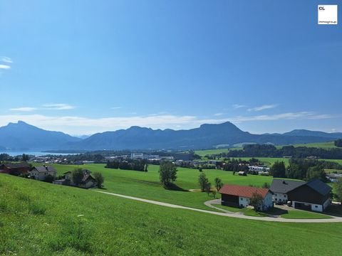 Mondsee Industrieflächen, Lagerflächen, Produktionshalle, Serviceflächen