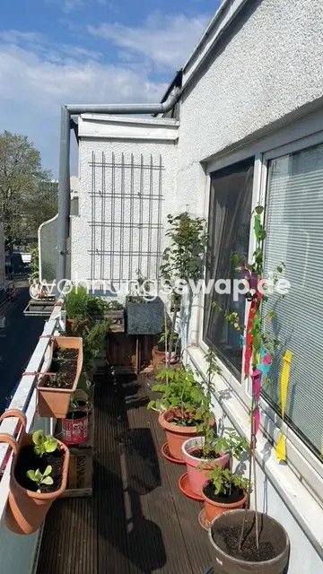 Köln Wohnungen, Köln Wohnung mieten