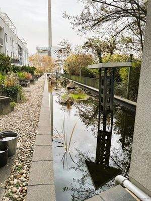 Wasserlauf von der Terasse aus 