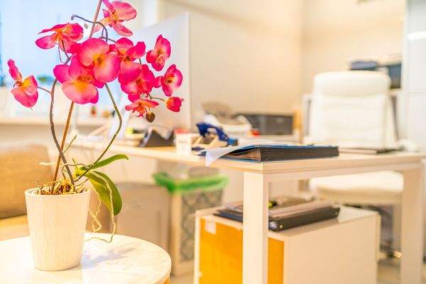 Büroräume (Gebäude 2)