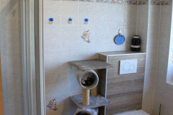 Gästebad mit Dusche