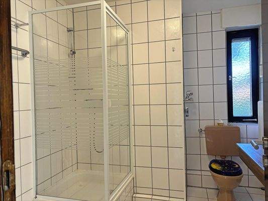 Tageslichtbad mit Duschkabine