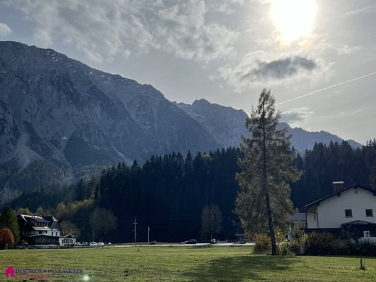 Bild 17
