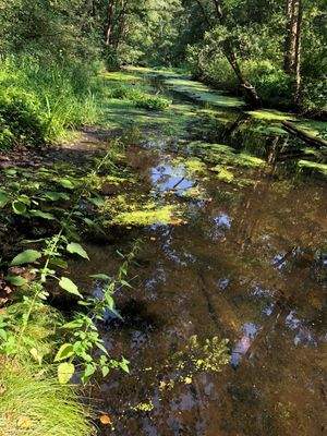 WhatsApp Image 2024-07-24 at 13.01.59