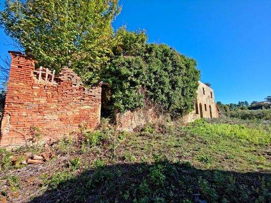 20251104_104018 - 1K JPEG.jpg