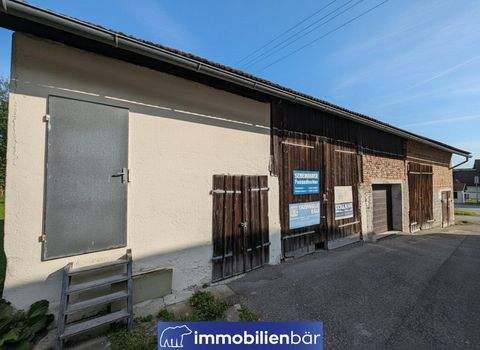 Aspeth Halle, Aspeth Hallenfläche