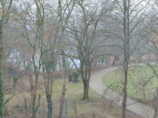 Ausblick Balkon Bild 2