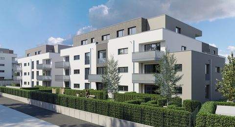 Rheinbach Wohnungen, Rheinbach Wohnung mieten