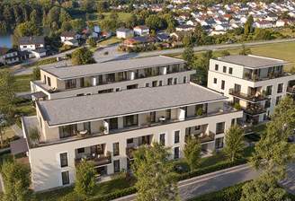 Vogel Süden 2.png
