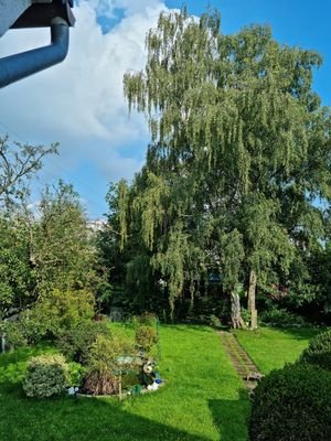 Garten.jpg