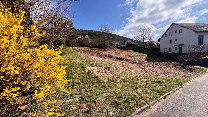 Herzlich Willkommen!