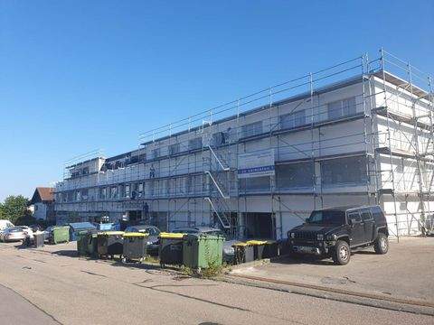 Engelsbrand Halle, Engelsbrand Hallenfläche